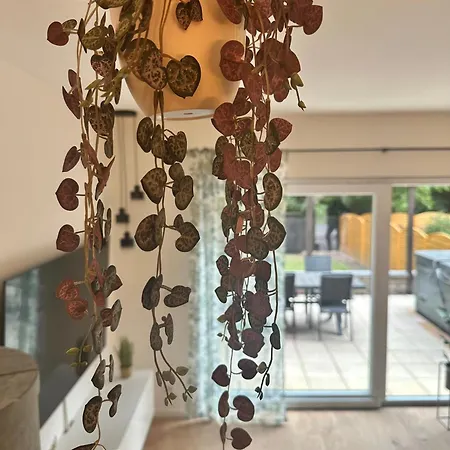 Haus Am Wald Mit Whirlpool, Garten, Kamin Und Voll Ausgestatteter Kueche * Stolberg (Rhineland)